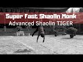 Shaolin tiger  advanced shaolin kung fu