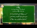 Watch Farman e Nabi Kareem ﷺ | Mere Panch Naam Hai Online In HD