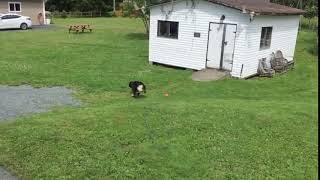 IMG_3443.MOV