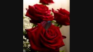 GİTTİ CANIMIN CANANI...