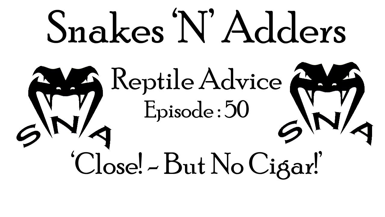 snake discovery logo Snakes N Adders Reptile Advice : Episode 50 - The close but no cigar crew.