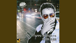 Video thumbnail of "Perro Callejero - Soy Yo"