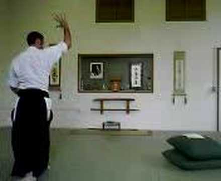 aikido 5th kyu test requirments