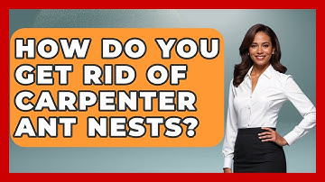 How Do You Get Rid Of Carpenter Ant Nests? | Insects and Invaders