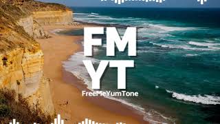 Aviation  - TrackTribe [Freemium No Copyright Music] screenshot 2