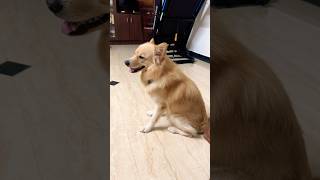 3 October 2024 Resimi