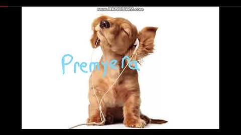 Armenchik and Arman Hovhannisyan ft elvin - Hay Aghjikner REMIX