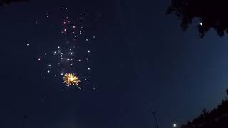 P5497 Lace Impulse Firework 500G