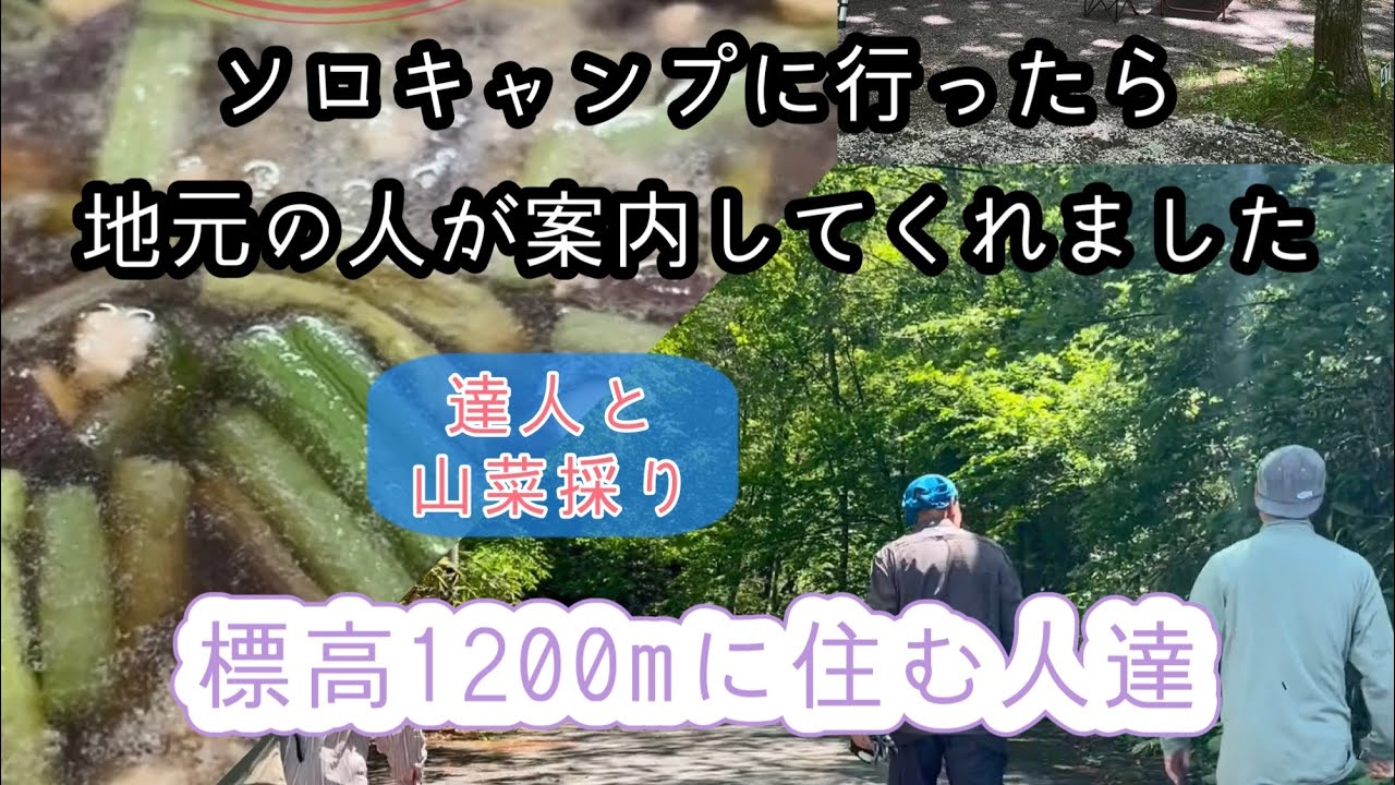 【森の旅】奈川さんぽ/標高1200m！達人と山菜採り〜名物とうじそば！ソロキャンプに行ったら移住したくなりました@長野県松本市奈川