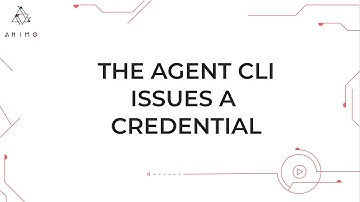 How to issue a credential using Animo