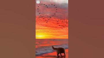 Thumbnail of sunset status #sunset#explore