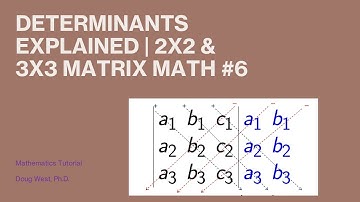 Determinants Explained | 2x2 & 3x3 Matrix Math #6