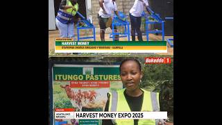 The New vision  Harvest money expo 14th - 16th feb