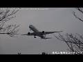 [JL5 JFK⇒HND] JAL Airbus A350-1000 JA11WJ landing @ Haneda RWY16R [March 22, 2026]