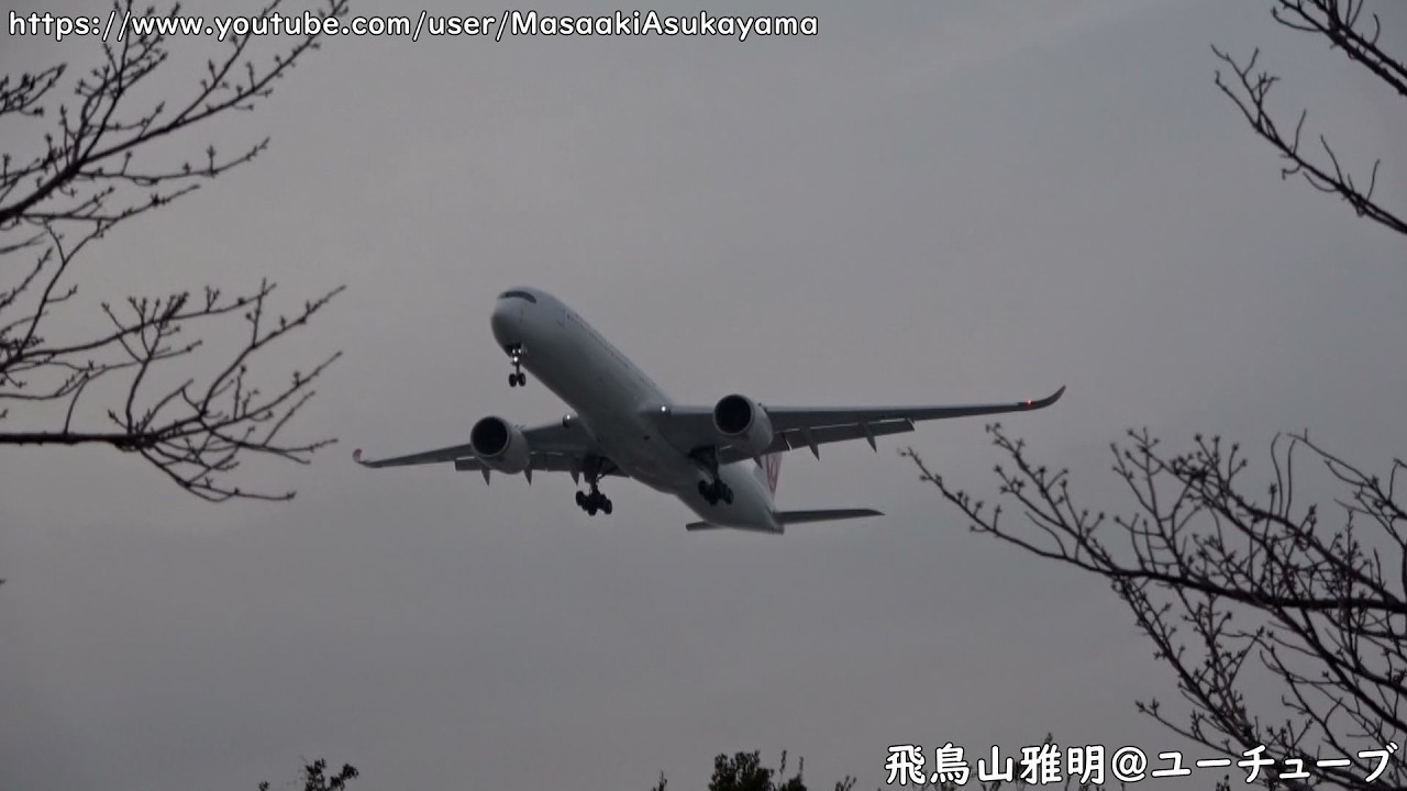 [JL5 JFK⇒HND] JAL Airbus A350-1000 JA11WJ landing @ Haneda RWY16R [March 22, 2026]