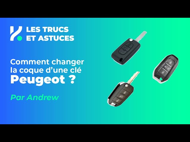 Clé adaptable pour Citroën C3 ™