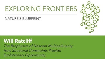 Will Ratcliff | The Biophysics of Nascent Multicellularity