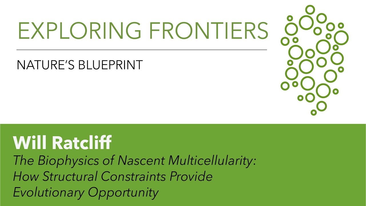 Will Ratcliff | The Biophysics of Nascent Multicellularity