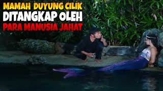 Poor Mamah, the little mermaids were captured by evil humans | little mermaid episode 17