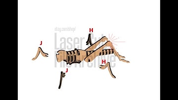 Grasshopper Assembly