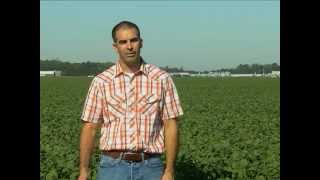 Meet Jay Baxter: A Soybean Farmer from Georgetown, Delaware. Antique Tractors.