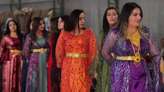Ertuş Ai̇lesi̇ni̇n Görkemli̇ Düğünü Hakkâri Düğünleri̇