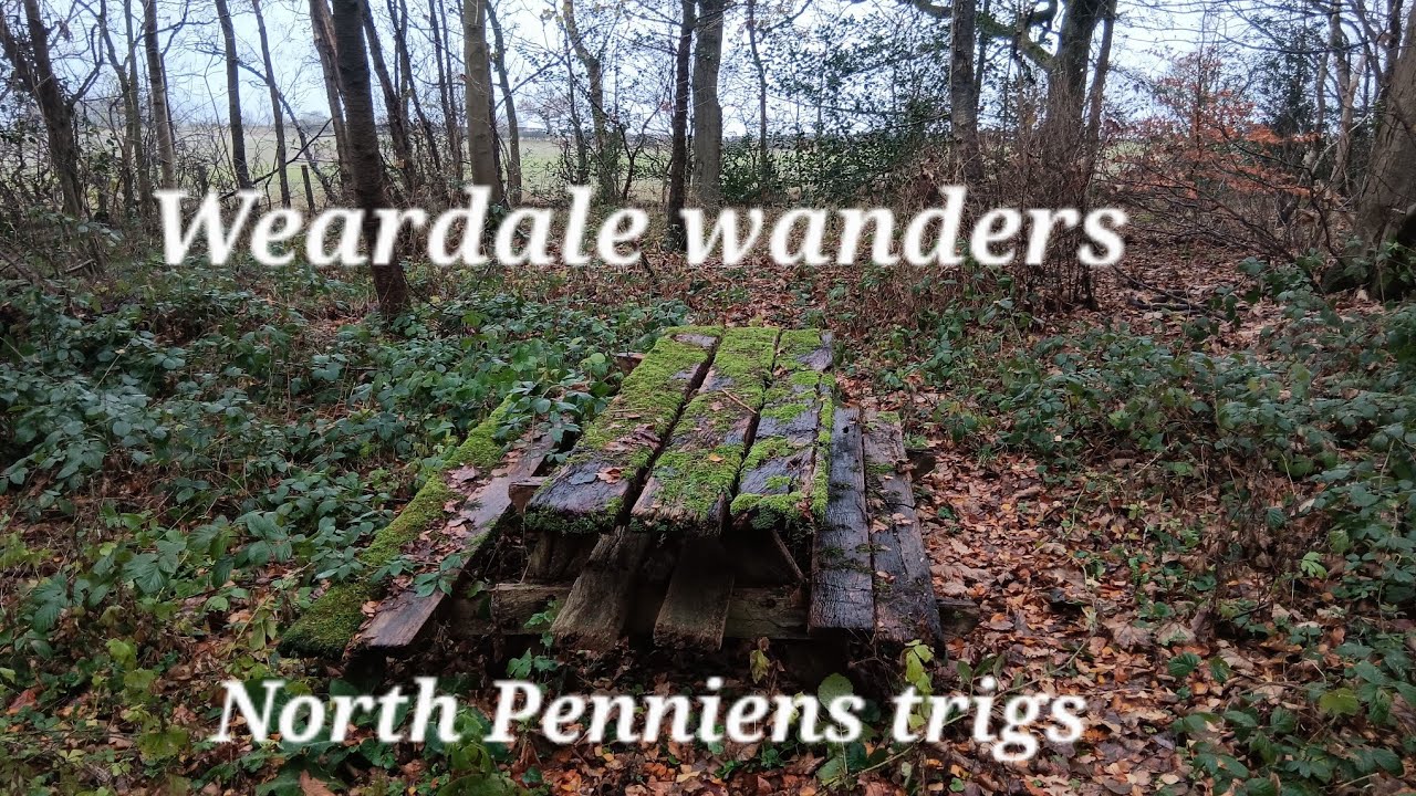 North Pennines trigs,  Royal Oak and Toy top trigs.