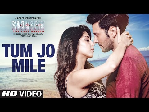 Tum Jo Mile Song Lyrics From Saansein