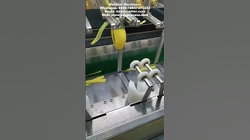 Automatic Knife Type Mango Peeler Machine