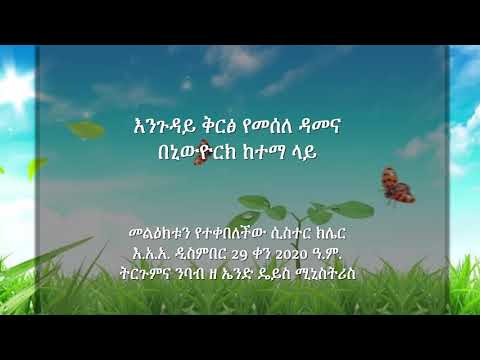 ቪዲዮ: በኒውዮርክ ከተማ ውስጥ በጣም የማይታመኑ ቦታዎች