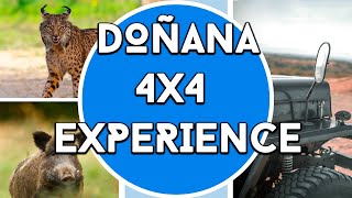 Doñana, 4x4 Experience!