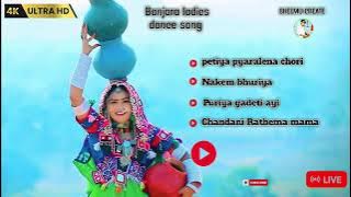 petiya pyaralena chori| chandini banjara song #banjara