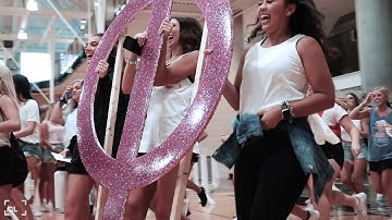 Mizzou Alpha Phi Bid Day 2019