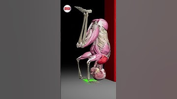 🤸‍♂️ Struggling with the Kipping Handstand Push-up?