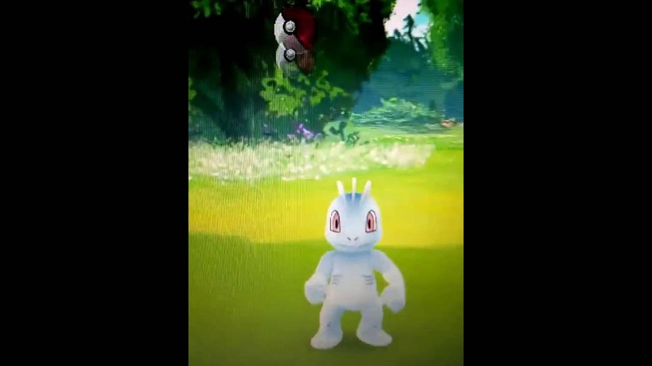 machop-one-the-powerful-pokemon-caught-with-pokemon-go-super-rare