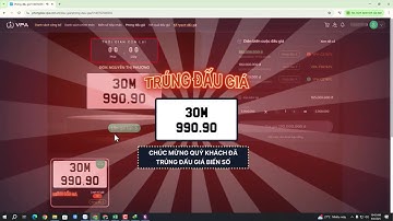 Quá trình đấu giá biển số xe ô tô đầy đủ