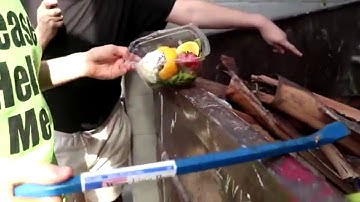 Idubbbz eats rotten strawberry