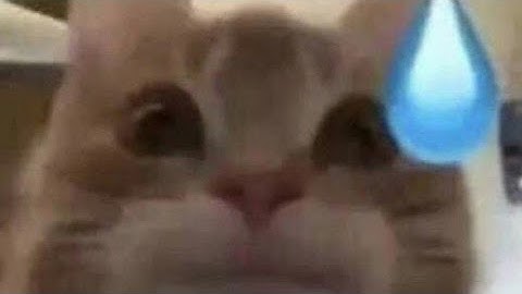 Free aut private server code (expired)