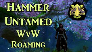 Guild Wars 2 Hammer Untamed WvW Roaming Build Guide