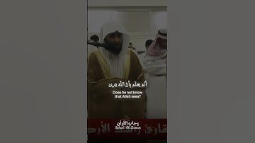 تلاوة خاشعة للشيخ راشد الأركاني ❤️ سورة العلق كاملة #qurantilawat