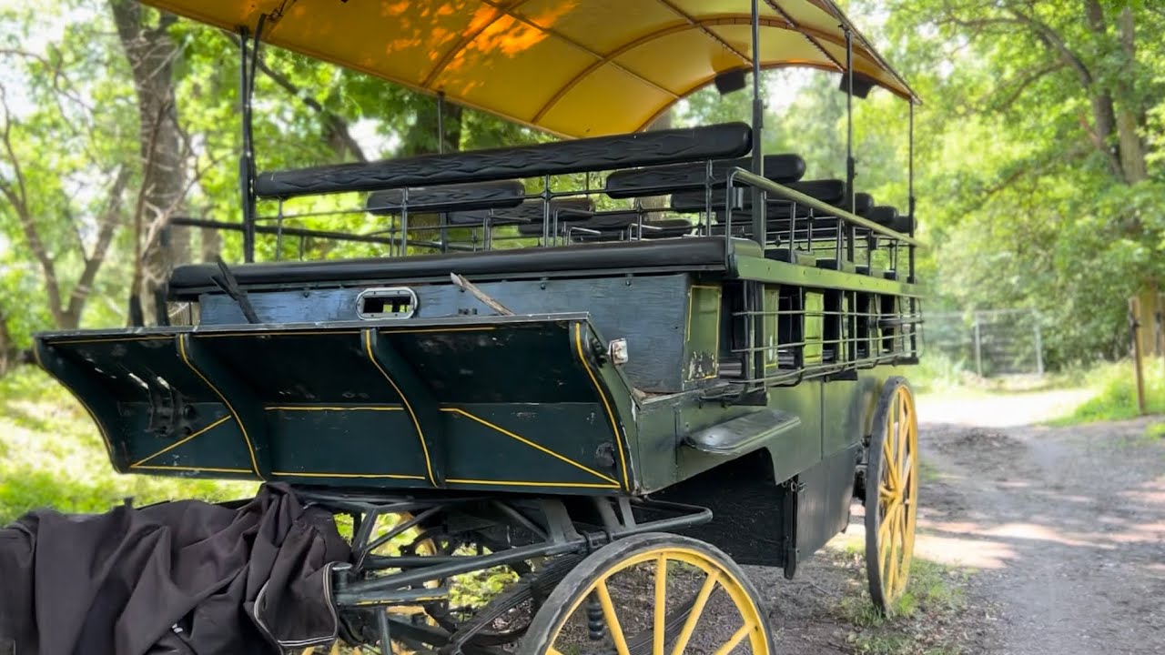 Horse buggy 47 carriage chariot olden days public transport