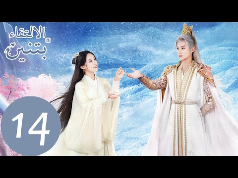 المسلسل الصيني الالتقاء بتنين الحلقة 14    
