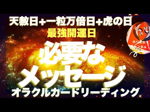 【超緊急😆】最強トリプル開運日🌈✨天赦日+一粒万倍日+虎の日 あなたへのメッセージ🌈✨びっくりするほど当たる⁉️オラクルカードリーディング🌞ホリミホ🌞