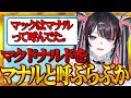 マクドナルドのことをマナルと呼んでいたことを告白し視聴者に困惑されてしまう冥海らぶか【冥海らぶか/のりプロ】
