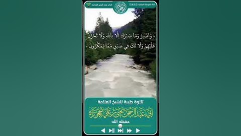 تلاوة طيبة/ للشيخ يحيى الحجوري حفظه الله تعالى #ابو_العتاهية #ابوليله #اكسبلور #تيك_توك #ابوخيال #لا