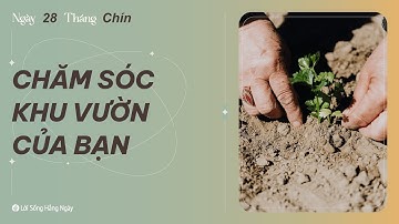 Chăm Sóc Khu Vườn Của Bạn | Tĩnh nguyện Lời Sống Hằng Ngày  | 28 Tháng 09, 2023