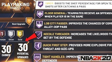 *NEW* NBA 2K20 BADGE GLITCH!AFTER 1.04 HOTFIX!UNLIMITED BADGE POINTS!MAX BADGES FAST!PS4,XB1