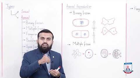 Class 10 - Biology - Chapter 14 - Lecture 1 - Introduction of reproduction - Allied Schools