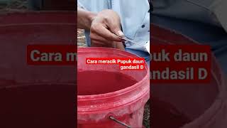 cara meracik pupuk daun gandasil D #shorts
