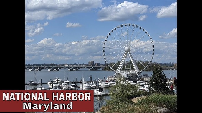 First Time Visiting Alexandria: Must-See Sights and Tips